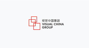 品牌logo设计